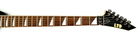 ESP LTD Alexi 200 Black Gitara Elektryczna (4)