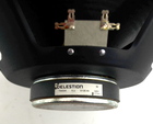 Celestion Line 6 31 Cm Glosnik Gitarowy