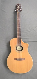 Line 6 Variax 700 Acoustic natural