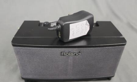 Roland Cube Lite Combo Gitarowe